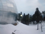 20100131164005.jpg